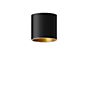 Bega Studio Line Ceiling Light downlight LED round black/brass matt, 9,6 W - 50674.4K3