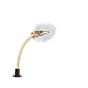 Catellani & Smith More Floor lamp without transformer transparent, 100 cm