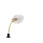 Catellani & Smith More Floor lamp without transformer transparent, 70 cm