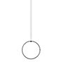 Flos Arrangements Round Hanglamp LED zwart mat, ø66,5 cm