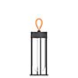 Flos In Vitro Lampe rechargeable LED anthracite - 2.700 K