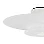 Flos Moni 1 Ceiling lights buy at light11.eu