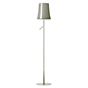 Foscarini Birdie Terra grijs