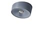 Foscarini Glass for Lumiere XXL/XXS wall/ceiling light - Spare Part grey - XXS