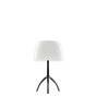 Foscarini Lumiere Lampe de table piccola aluminium/blanc - avec variateur