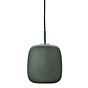 Fritz Hansen Maluma Hanglamp groen