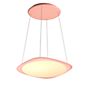 Grau Flying Pendant Light LED pink