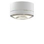 Grau Globe Ceiling Light LED white