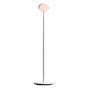 Grau Parrot Batterie lampadaire LED blanc