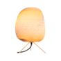 Graypants Scraplights Ebey Bordlampe blond