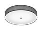 Helestra Boki Ceiling Light LED anthracite, without Casambi