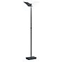 Hell Andy Floor Lamp LED 1 lamp anthracite matt