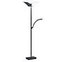 Hell Andy Floor Lamp LED 2 lamps anthracite matt