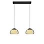 Hell Luxxo Hanglamp LED 2-lichts zwart