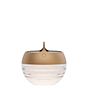 IP44.DE Aqu Zonne-acculamp LED gold, 23,1 cm