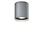 IP44.DE Up R Lampada da soffitto LED grigio