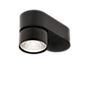 Mawa Wittenberg 4.0 Ceiling Light LED oval black matt - ra 95