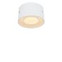 Oligo Trofeo Ceiling Light LED white matt