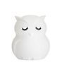 Pauleen Night Owl Battery Light LED white , discontinued product