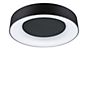 Paulmann Casca Ceiling Light LED black - 40 cm