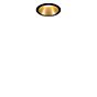 Paulmann Cole recessed Ceiling Light LED black/gold matt