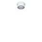 Paulmann Gil Plafondinbouwlamp LED wit mat/zilver mat