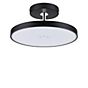 Paulmann Hildor Lampada da soffitto LED nero