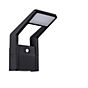 Paulmann Juntea Wall Light LED anthracite