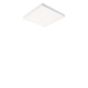 Paulmann Velora Rainbow Deckenleuchte LED weiß - 29,5 x 29,5 cm , Lagerverkauf, Neuware