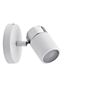 Paulmann Zyli Spot 1 lamp white/chrome