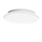 Peill+Putzler Ciclo Plafond-/Wandlamp LED ø53 cm