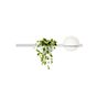 Vibia Palma Applique LED avec pot à plantes blanc