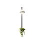 Vibia Palma Applique LED verticale - avec pot à plantes graphite
