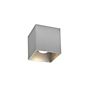 Wever & Ducré Box 1.0 Ceiling Light aluminium brushed