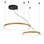 Wever & Ducré Kujo 2.1 Hanglamp LED champagne