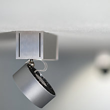 Buy Absolut Lighting Basica Wall-/Ceiling Light LED at