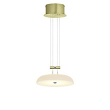 Bankamp Bowl – Lámpara de suspensión led — imagen 2