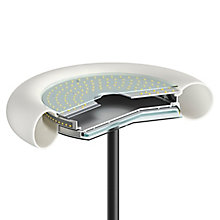Belux Oto – Lámpara de lectura led — imagen 4