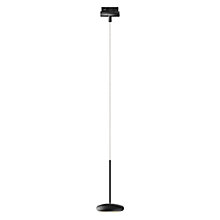 Bruck Blop Hanglamp LED voor Duolare Track zwart - 60°