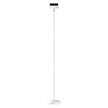 Bruck Blop, lámpara de suspensión LED para Duolare Riel blanco - 60°