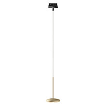Bruck Blop, lámpara de suspensión LED para Duolare Riel champán/negro - 100°