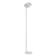 Cini&Nils Sestessa – Lámpara de pie led — imagen 2