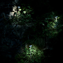 Flos Landlord Soft, sobremuro Led — imagen 4