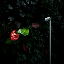 Flos Landlord Spot 60 cm Led — imagen 5