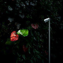 Flos Landlord Spot 90 cm Led — imagen 5