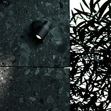 Flos Landlord Wall Spot Led — imagen 3