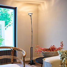 Buy Flos Toio Floor Lamp LED at light11.eu