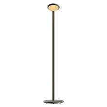 Grau Parrot, batería latón negro – Lámpara de pie led — imagen 2