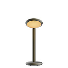 Grau Parrot – Lámpara de sobremesa led — imagen 2