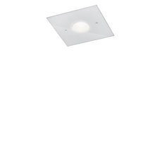 Helestra Nomi – Lámpara de techo led — imagen 2